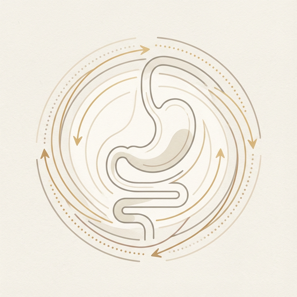 위장을 다시 뛰게 하는
핵심 치료 원리